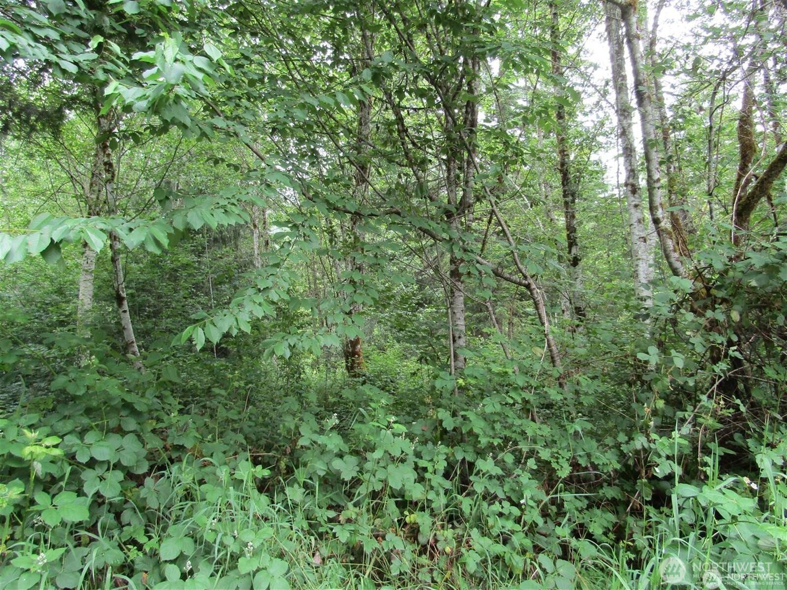 0 Davis Lake Road