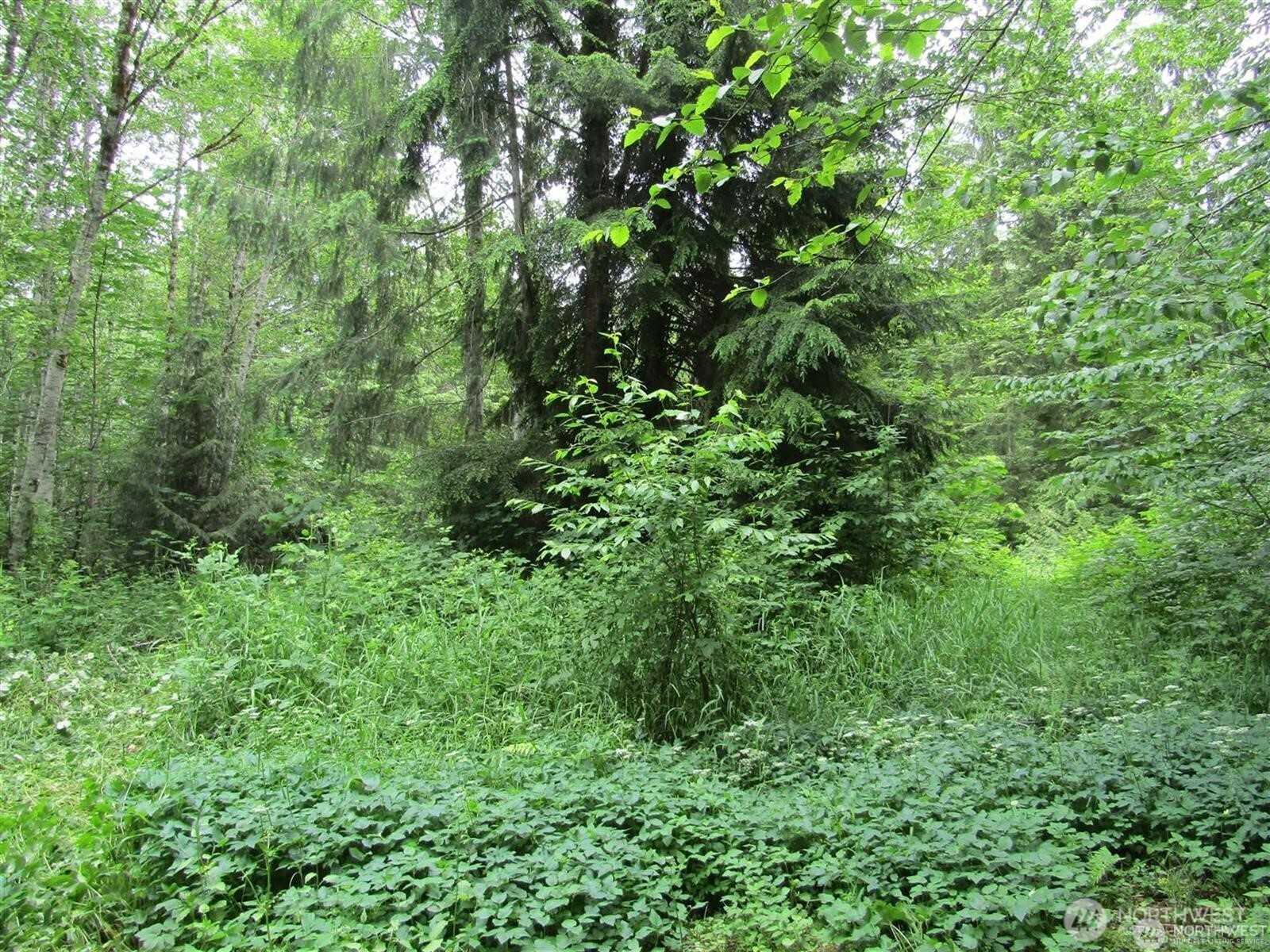 0 Davis Lake Road