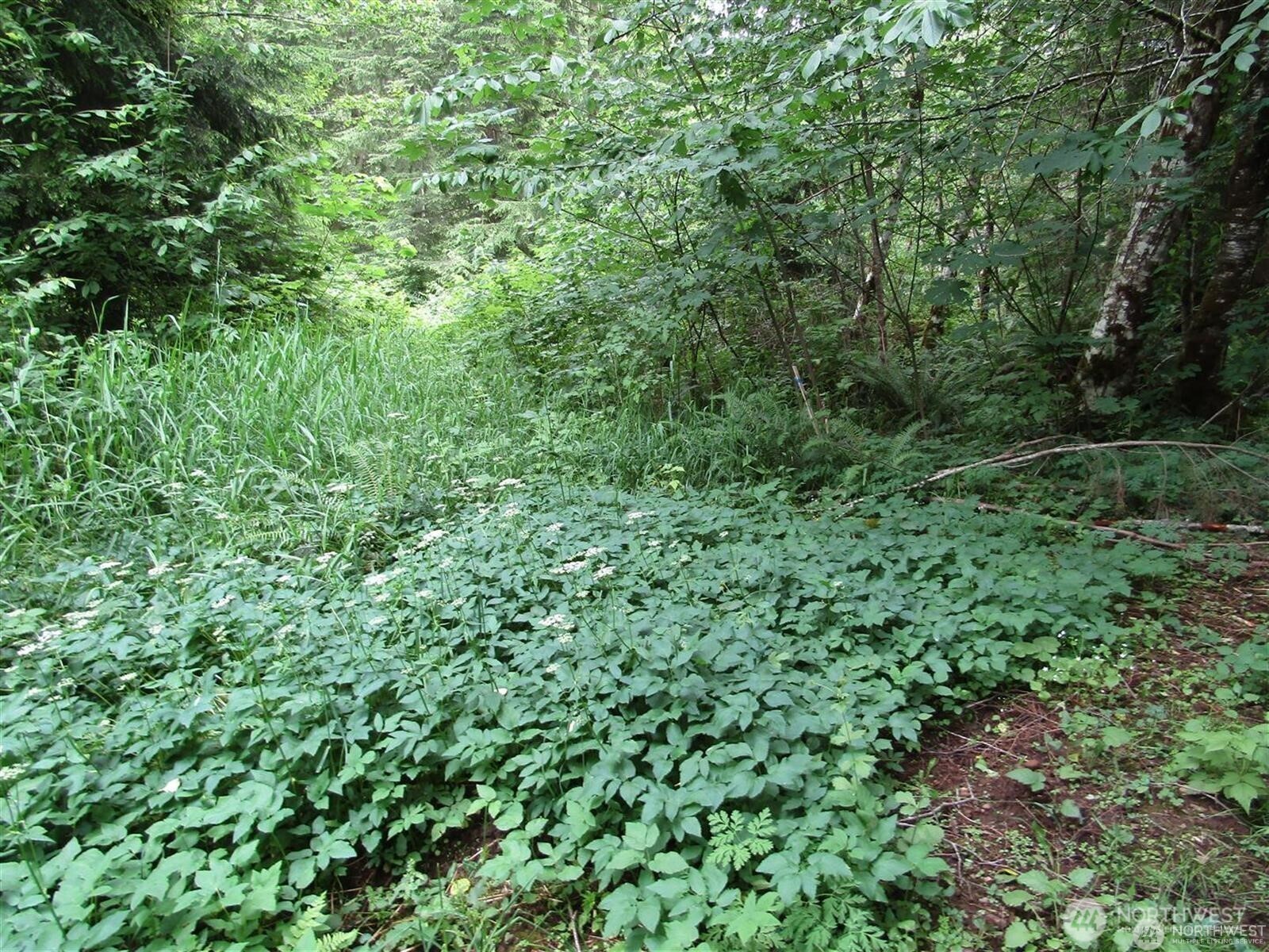 0 Davis Lake Road