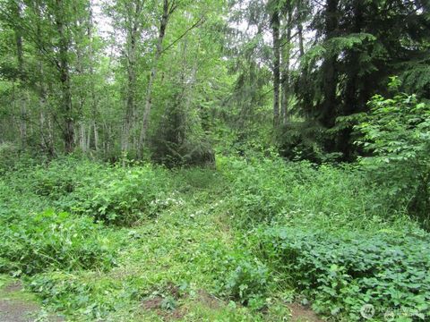 0 Davis Lake Road Morton WA 98356