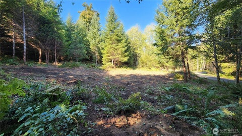 Photo of 5728 Duane Lane NW, Olympia, WA 98502 (MLS # 2399233)