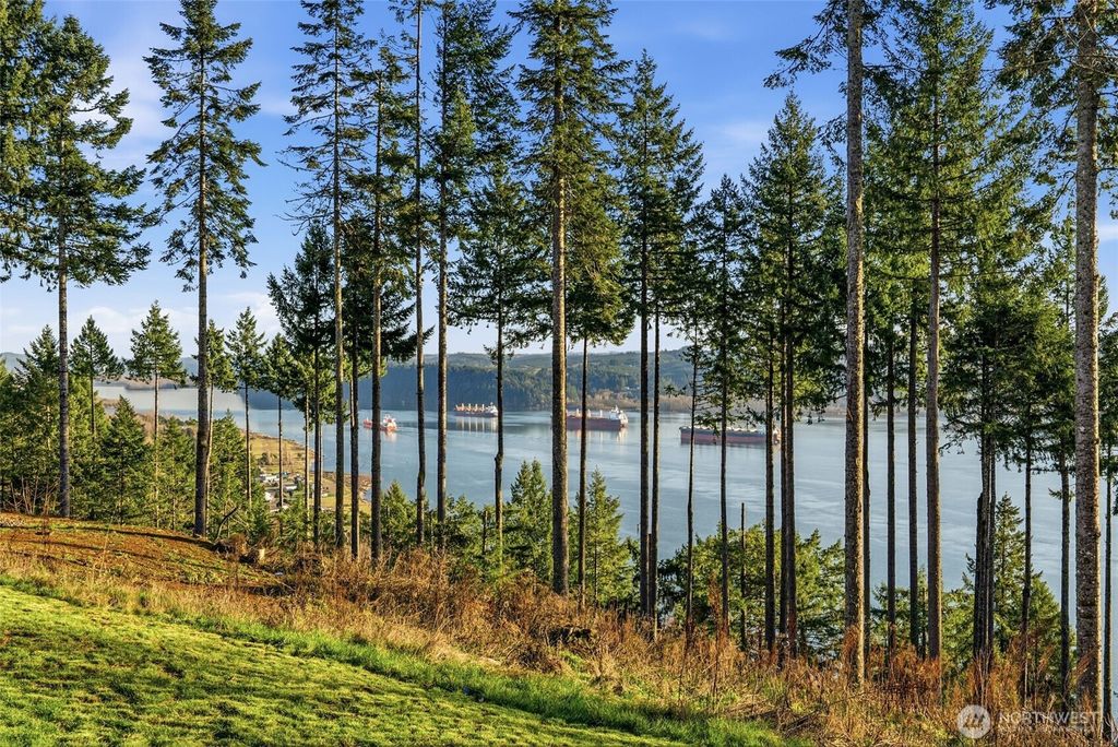 Photo of 3025 Stella Road, Longview, WA 98632 (MLS # 2477249)