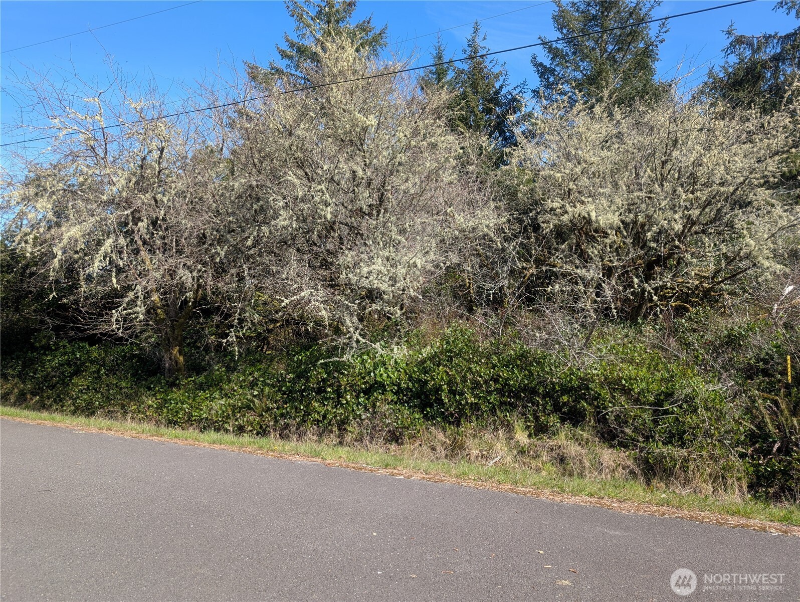 133 Cloquallum Street SE