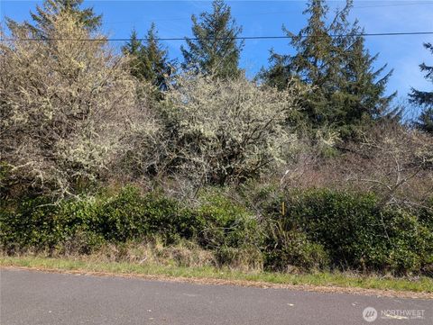 133 Cloquallum Street SE Ocean Shores WA 98569