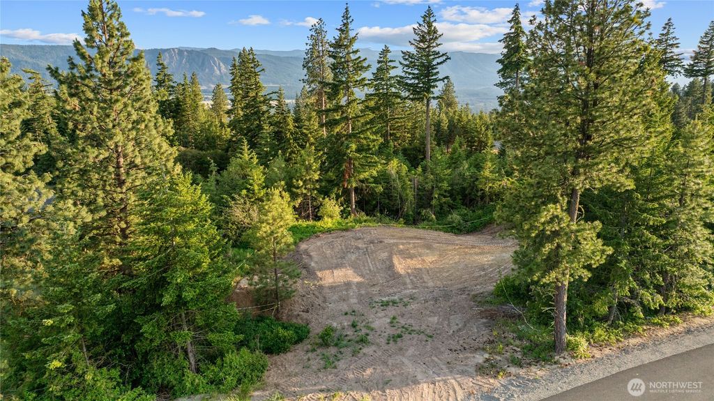 Photo of 41 Trailblazer (Lot 48) Court, Cle Elum, WA 98922 (MLS # 2466623)