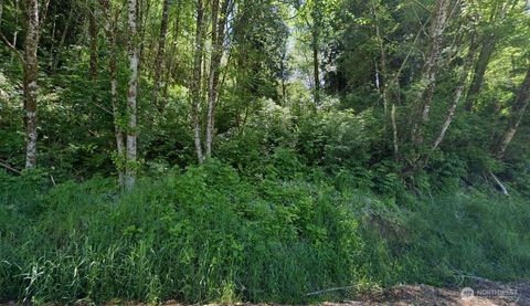 8 Minkler Road Montesano WA 98563