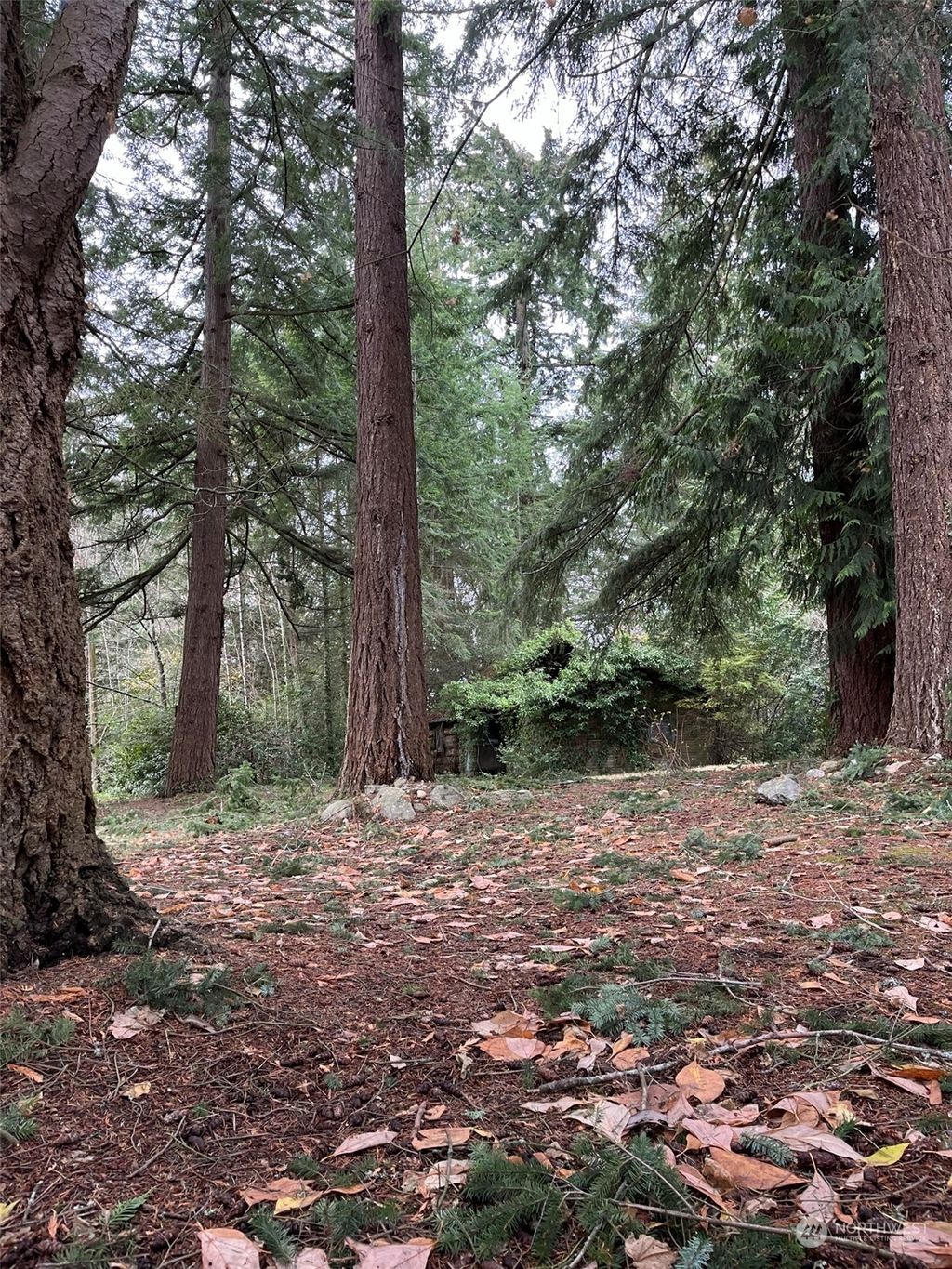 Photo of 18720 49th Place NE, Lake Forest Park, WA 98155 (MLS # 2022604)