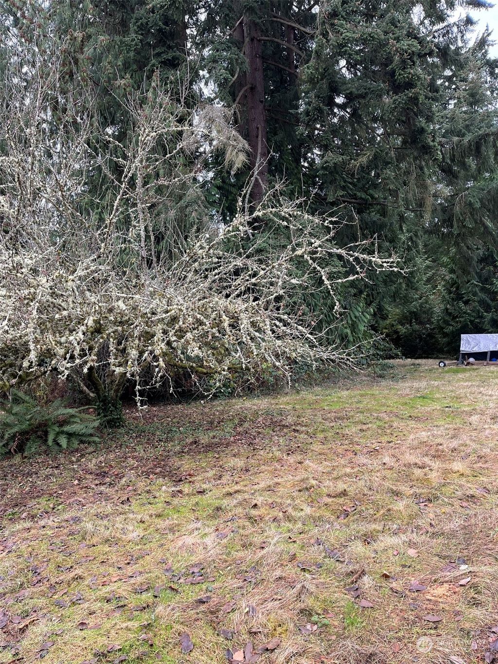 Photo of 18720 49th Place NE, Lake Forest Park, WA 98155 (MLS # 2022604)