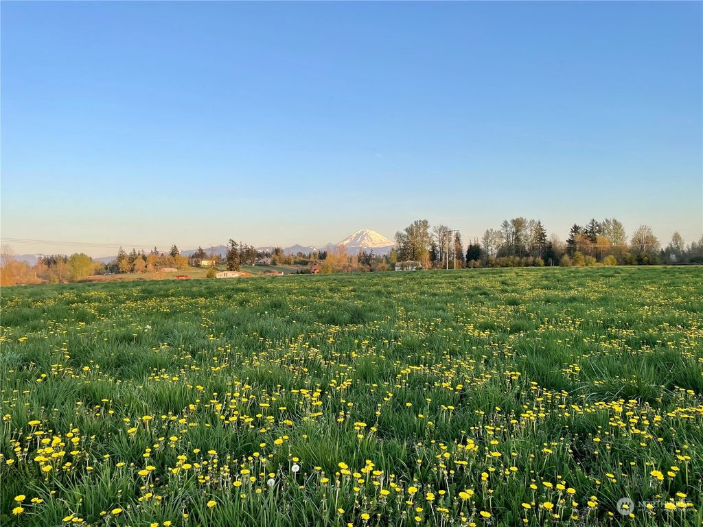 Photo of 204 XX SE 400th Street, Enumclaw, WA 98022 (MLS # 2064294)