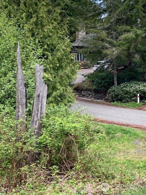 53 Dunsmuir Road