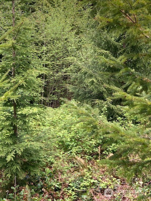 53 Dunsmuir Road