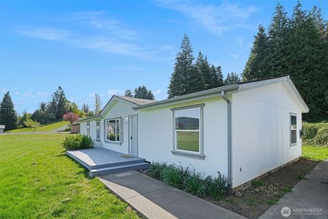 147 Zola Drive E, Cinebar, WA 98533 - MLS#: 2364978