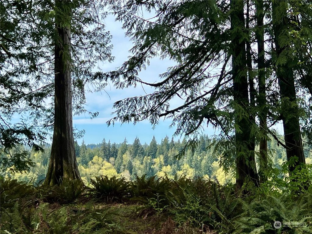 Photo of 1504 154th Drive NE, Snohomish, WA 98290 (MLS # 2226522)
