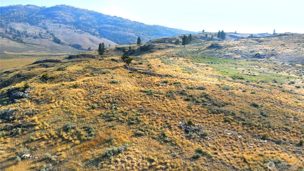 Photo of 0 XX McLaughlin Canyon Road, Tonasket, WA 98855 (MLS # 2573369)