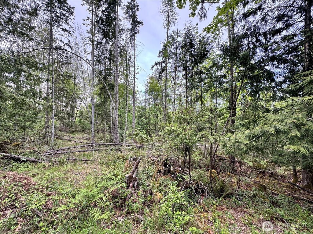 Photo of 9999 Township Line Road, Port Angeles, WA 98362 (MLS # 2521000)