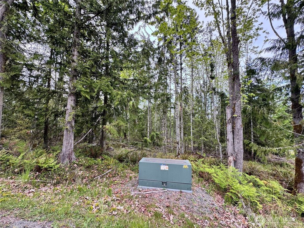 Photo of 9999 Township Line Road, Port Angeles, WA 98362 (MLS # 2521000)