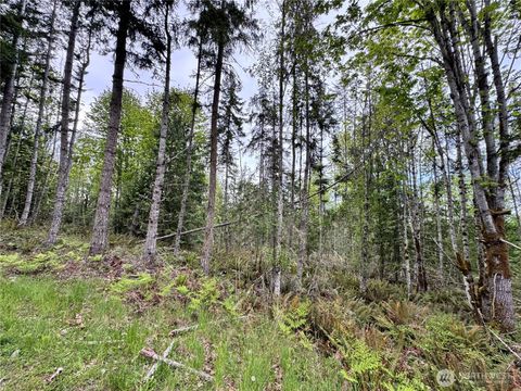 Photo of 9999 Township Line Road, Port Angeles, WA 98362 (MLS # 2521000)