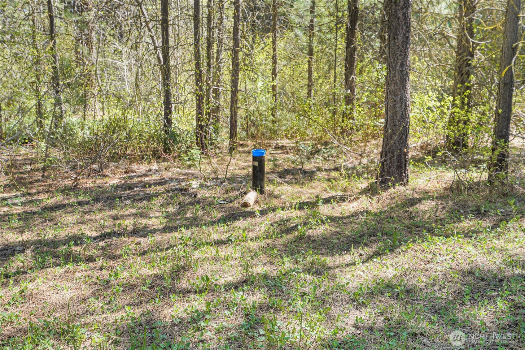 Leavenworth, Washington 98826, United States, ,Land,Active,120592