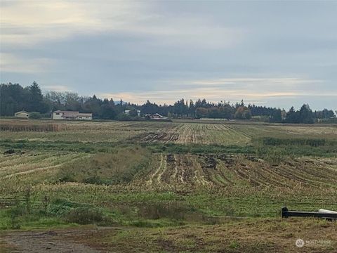 Photo of 361 W Wiser Lake Road, Ferndale, WA 98248 (MLS # 2307520)