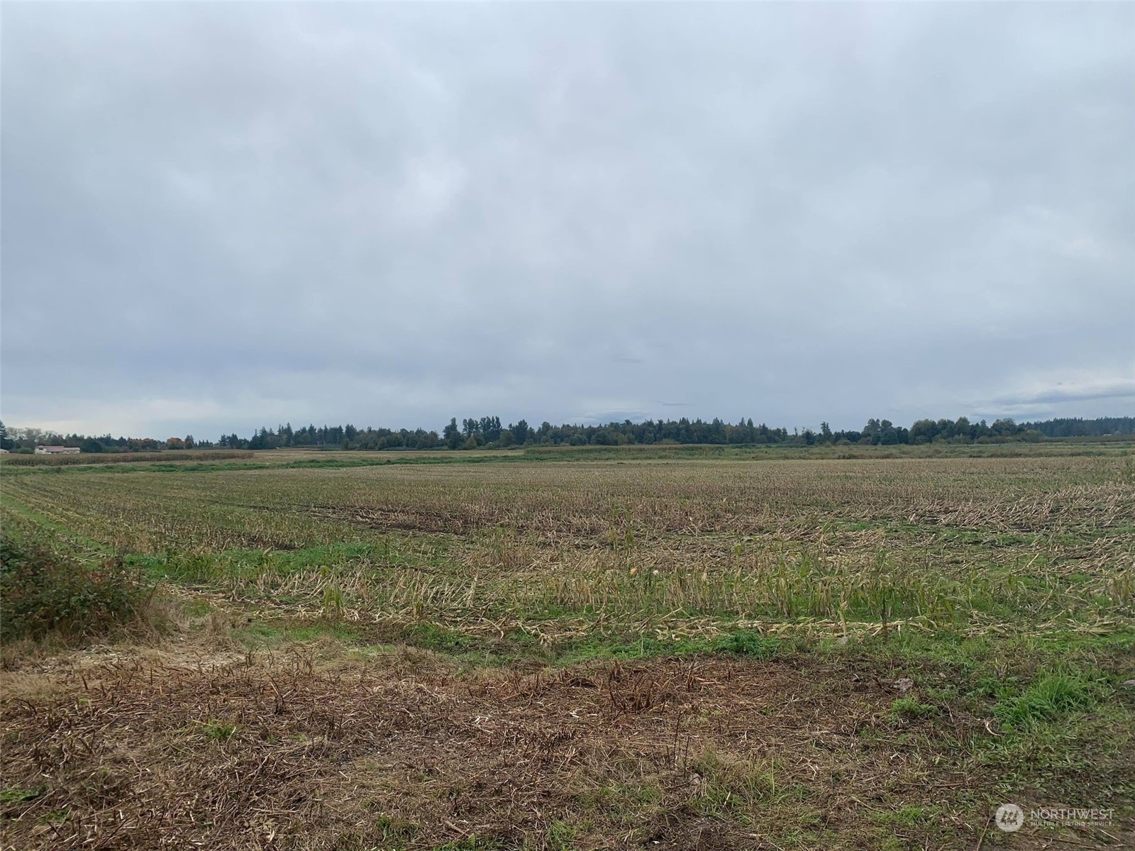 361 W Wiser Lake Road