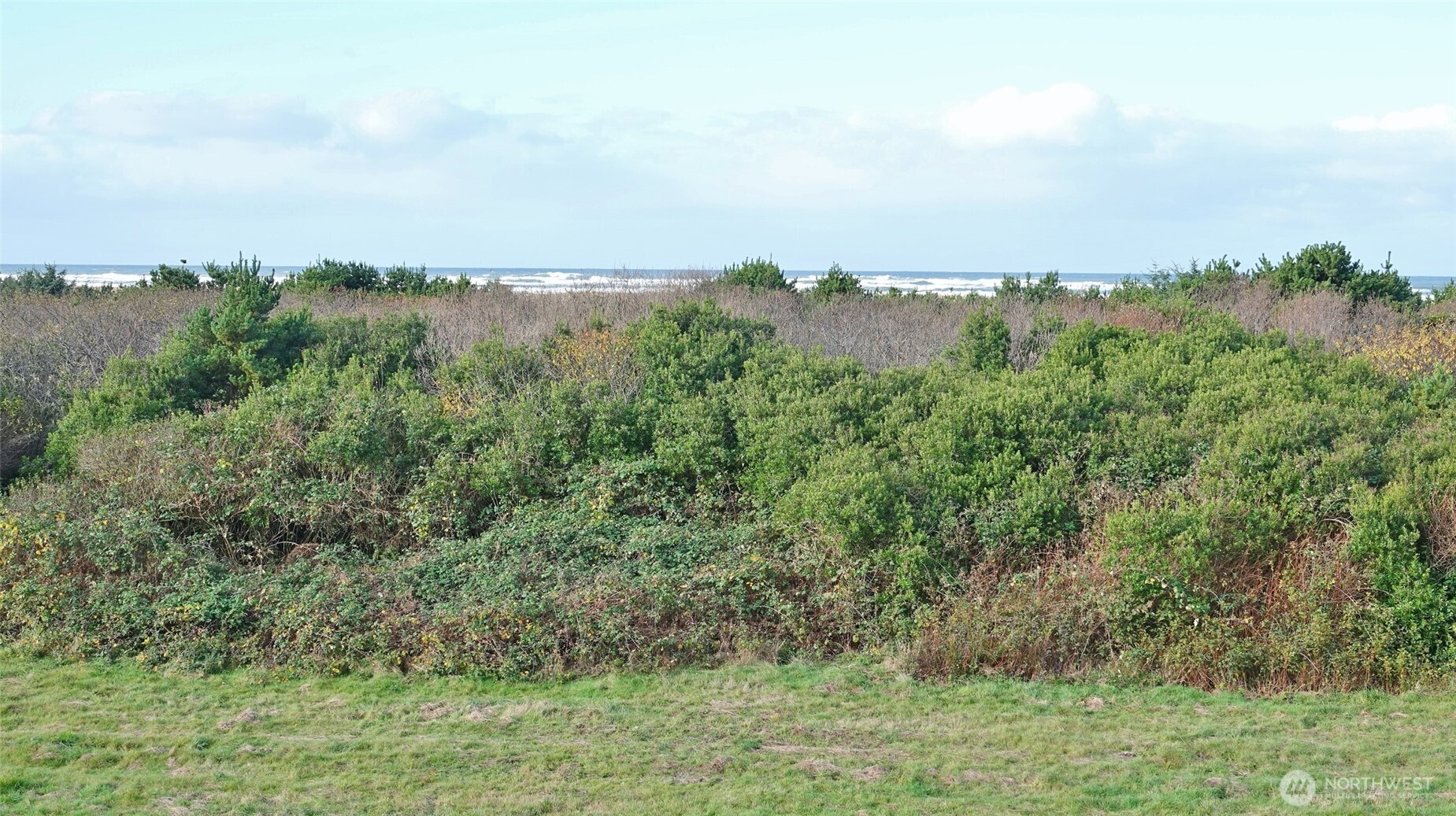 643 Ocean Shores Boulevard NW 303