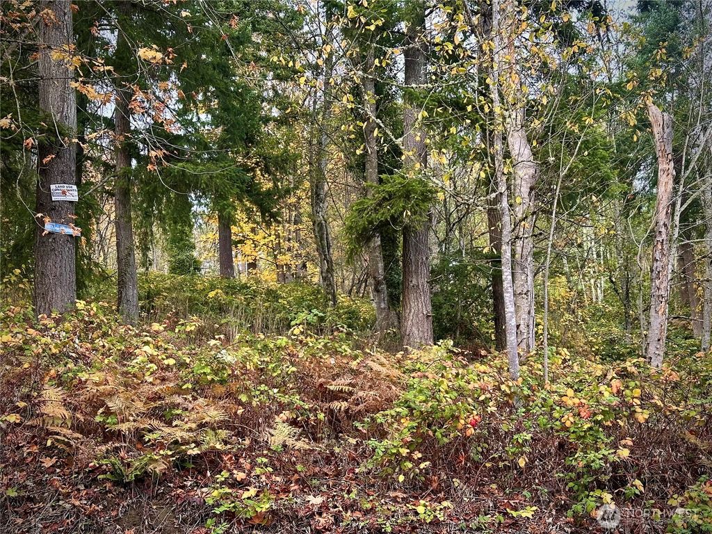 Photo of 27325 SE 402nd, Enumclaw, WA 98022 (MLS # 2453668)