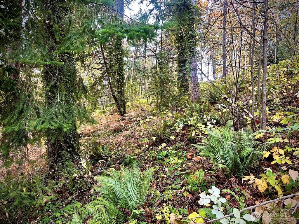 Photo of 27325 SE 402nd, Enumclaw, WA 98022 (MLS # 2453668)