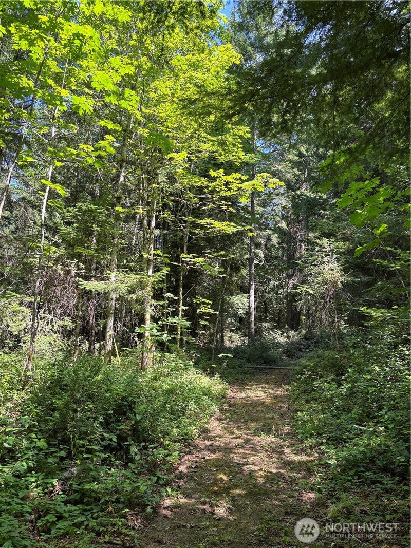 0 Mountain Road