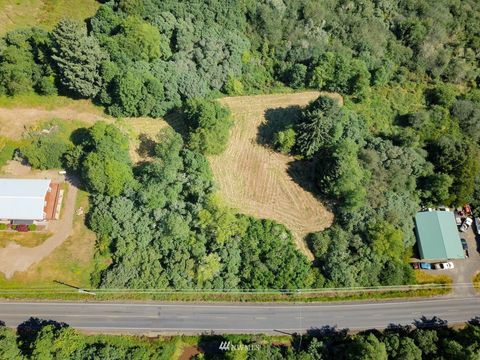 Photo of 1811 Pioneer Road, Long Beach, WA 98631 (MLS # 1976391)