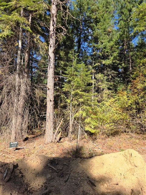 Photo of 8 Rock Cress Lane, Ronald, WA 98940 (MLS # 2595442)