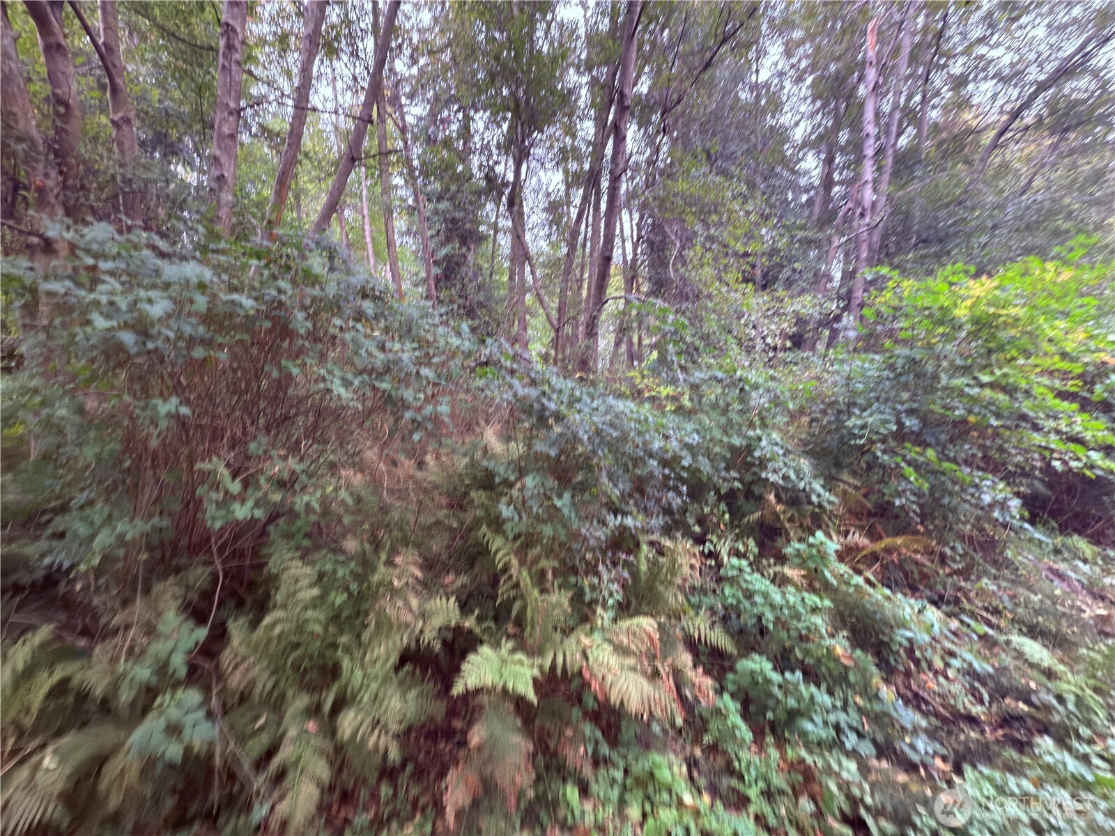 32 Port Gardner Drive