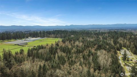 Photo of 6420 288th Street E, Graham, WA 98338 (MLS # 2500071)