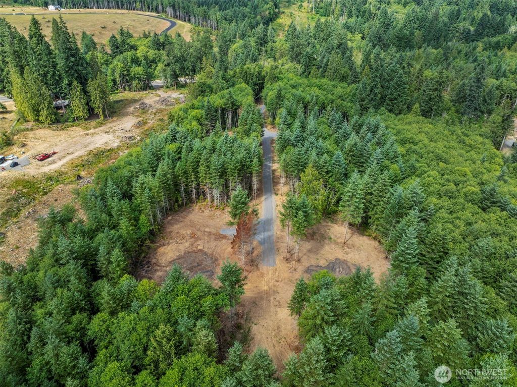 Photo of 232 Durins Place, Castle Rock, WA 98611 (MLS # 2496335)