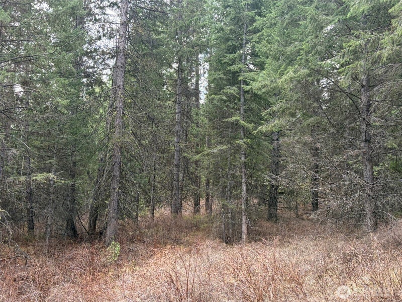 111 West Curlew Lake Road