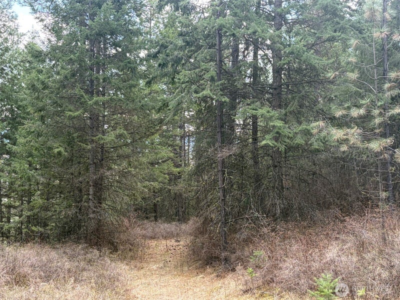 111 West Curlew Lake Road