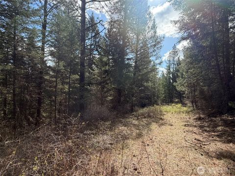 Photo of 111 TBD W West Curlew Lake Road, Republic, WA 99166 (MLS # 2508707)