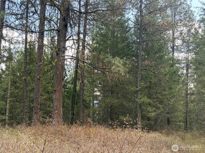 111 West Curlew Lake Road
