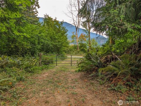 167 Burton Creek Road Randle WA 98377