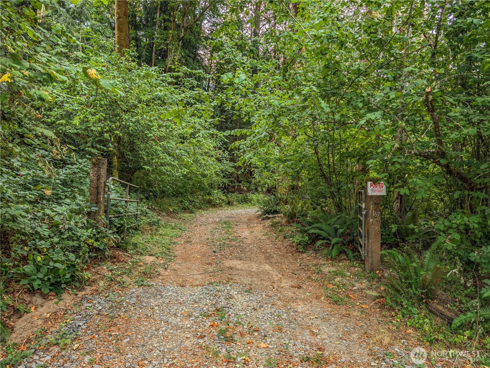 167 Burton Creek Road