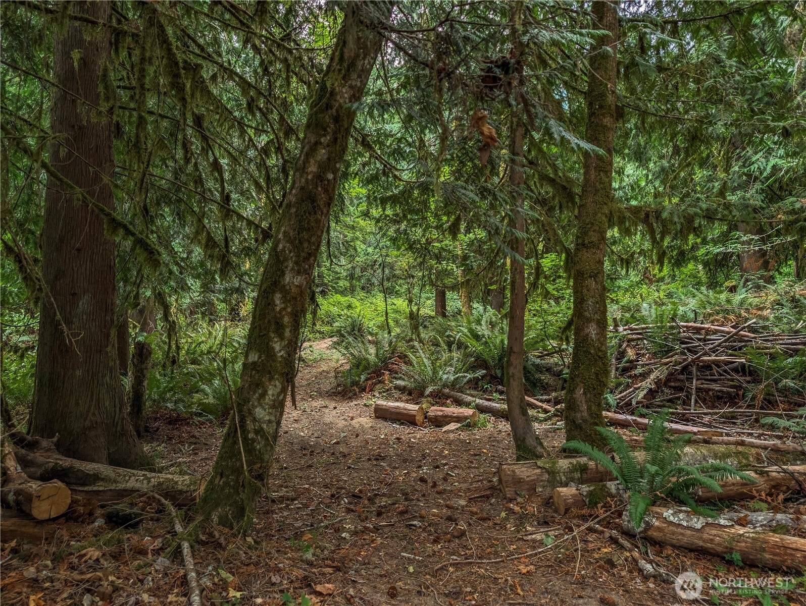 167 Burton Creek Road