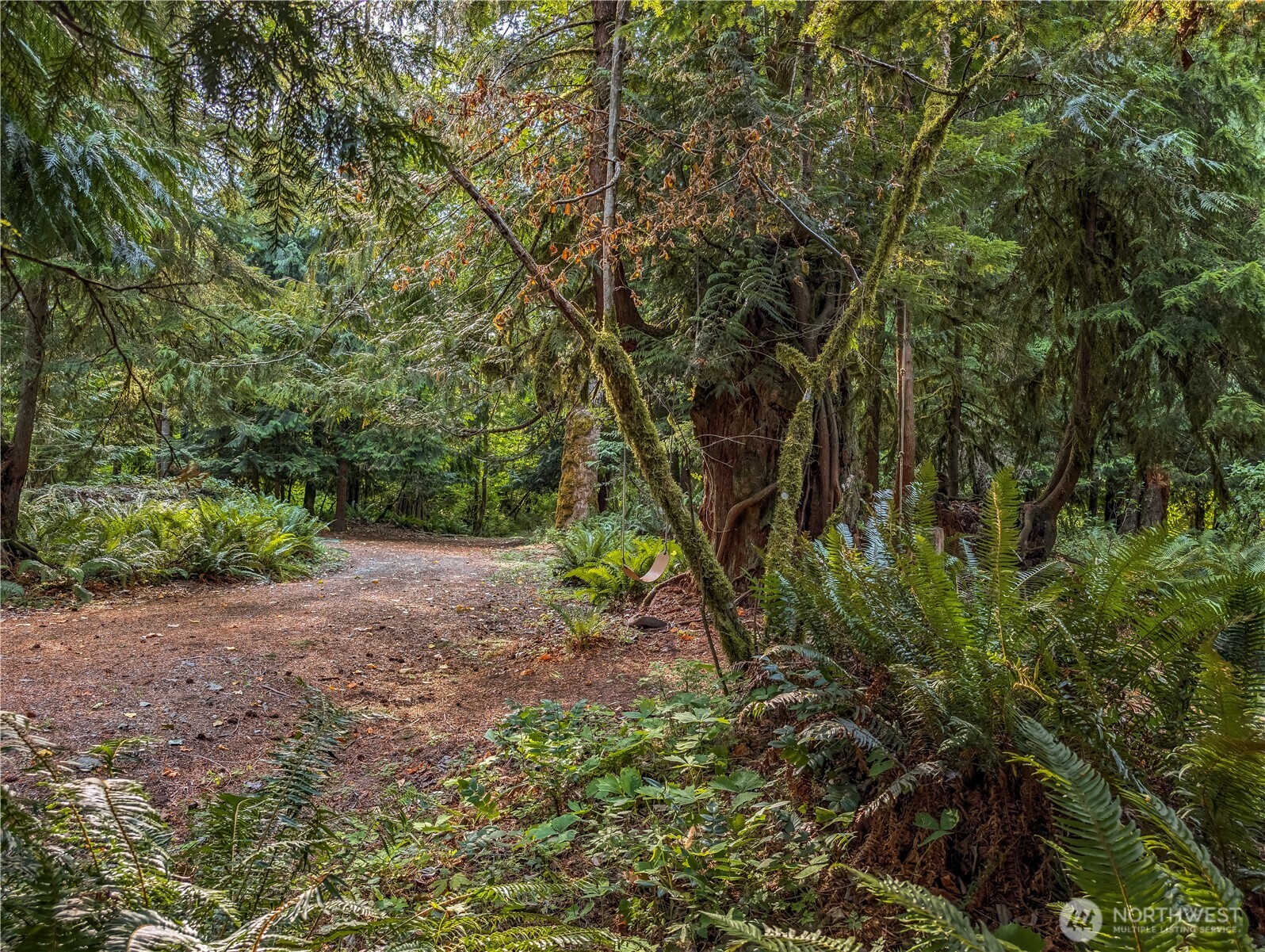 167 Burton Creek Road