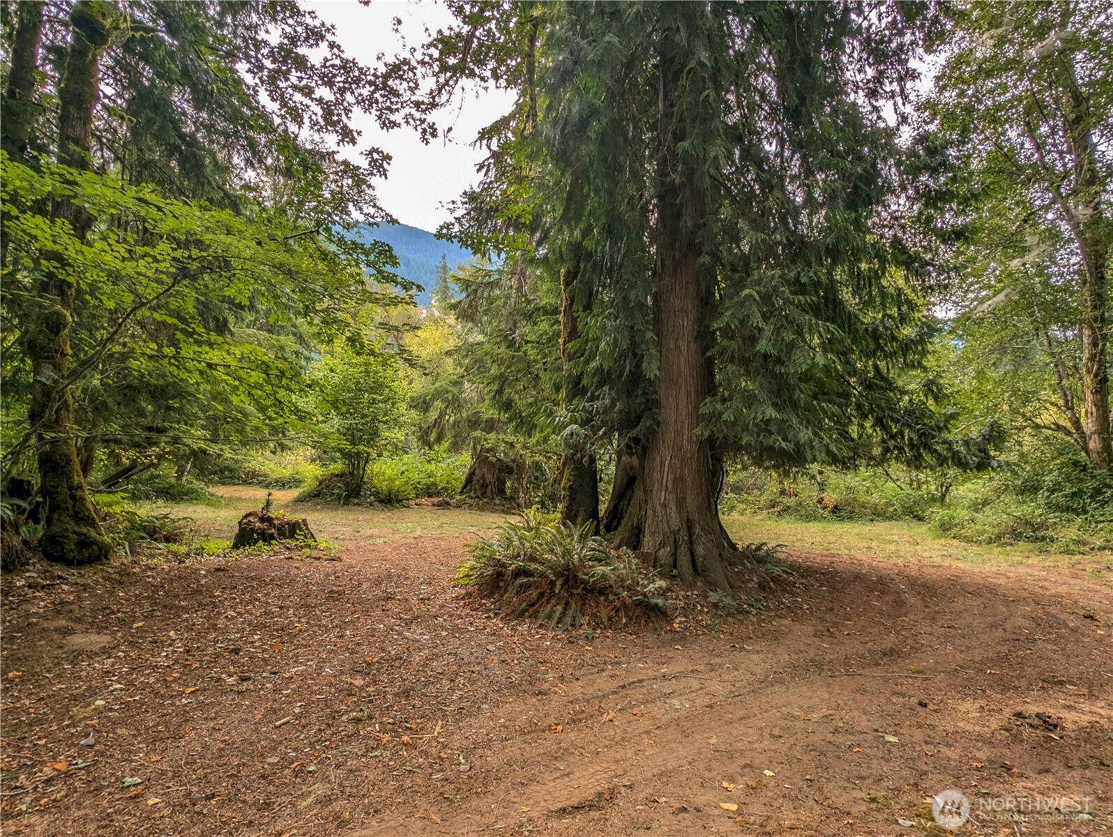 167 Burton Creek Road