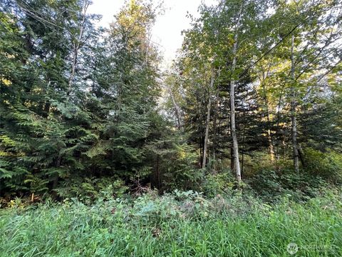 Photo of 10 Rex Street, Point Roberts, WA 98281 (MLS # 2526156)