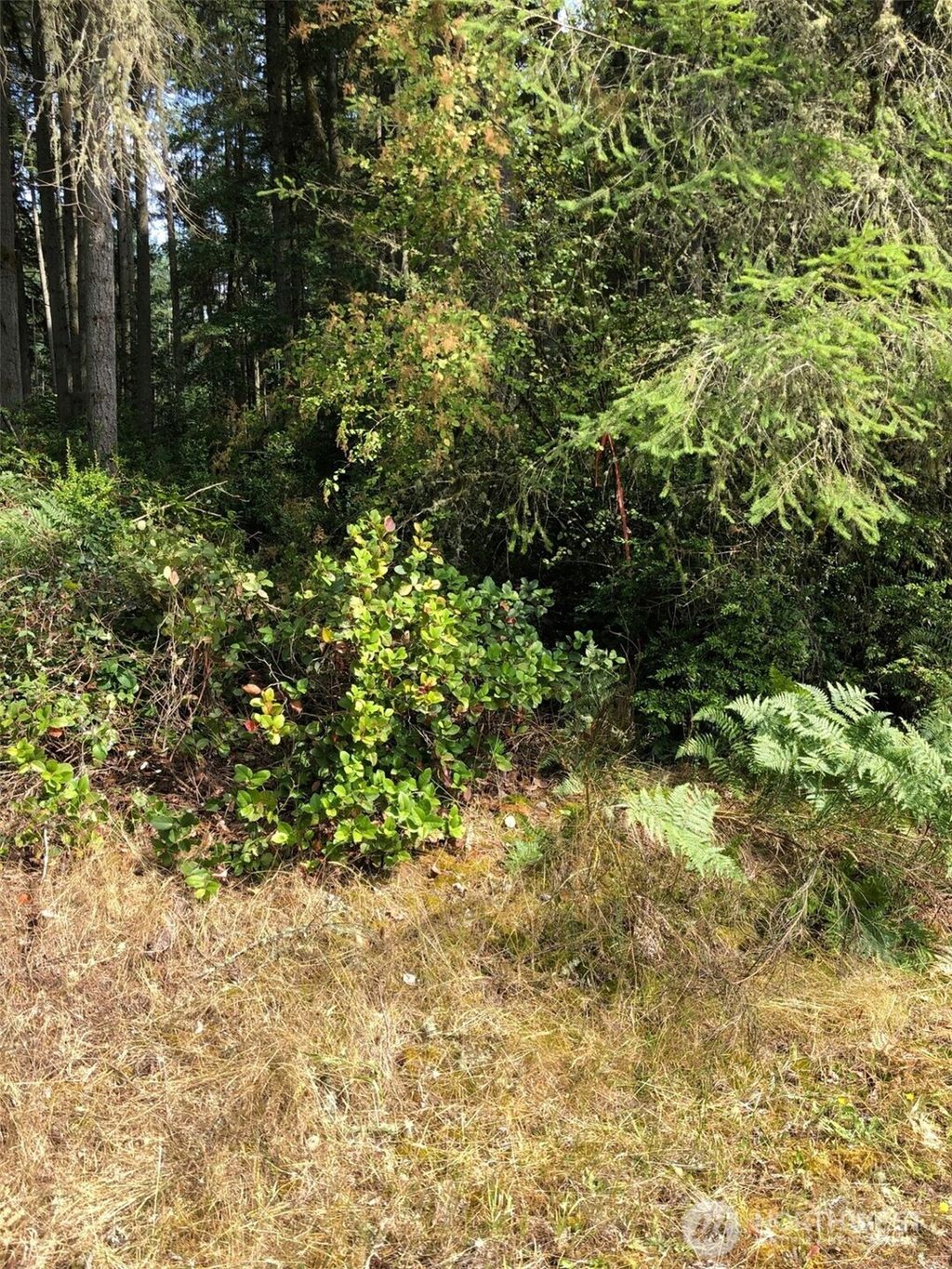 Photo of 11419 Leschi Circle, Anderson Island, WA 98303 (MLS # 2464508)