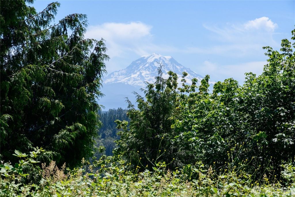 Photo of 10602 177th Avenue Ct E, Bonney Lake, WA 98391 (MLS # 2467046)