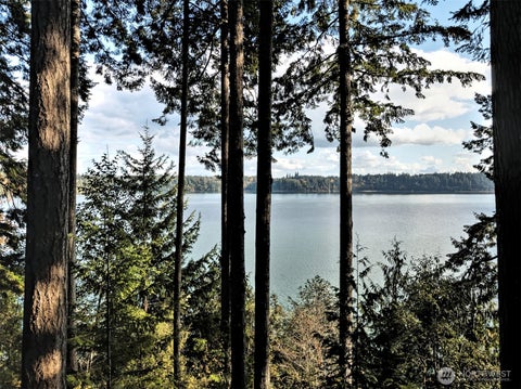 Photo of 898 SE Dahman Road, Shelton, WA 98584 (MLS # 2536535)