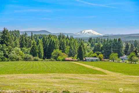 175 Cooper Hill Court Castle Rock WA 98611