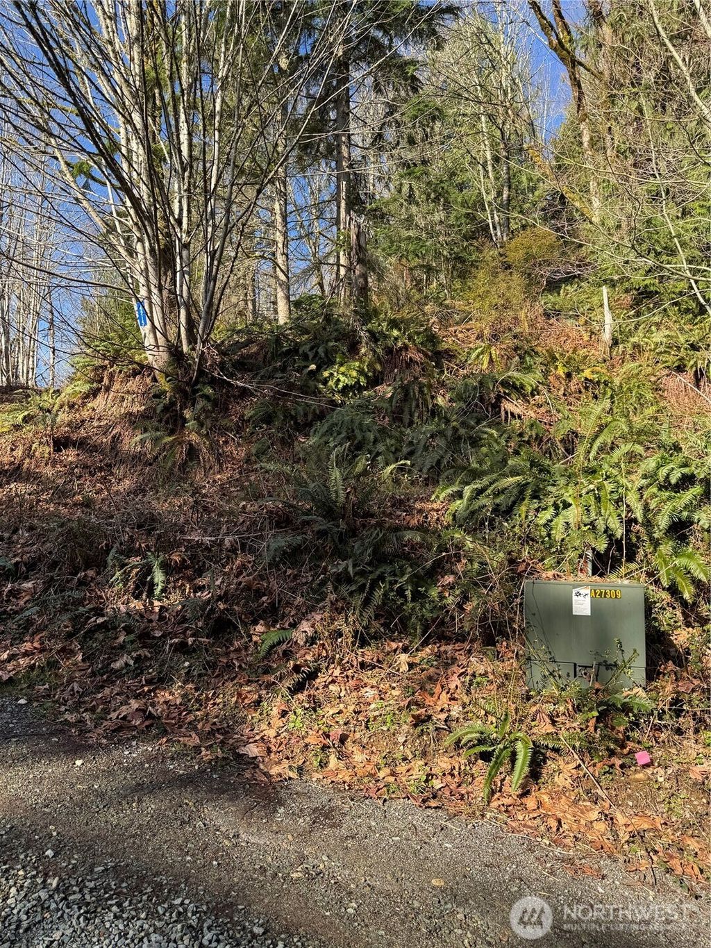 Photo of 15215 320th Street NE, Arlington, WA 98223 (MLS # 2503524)