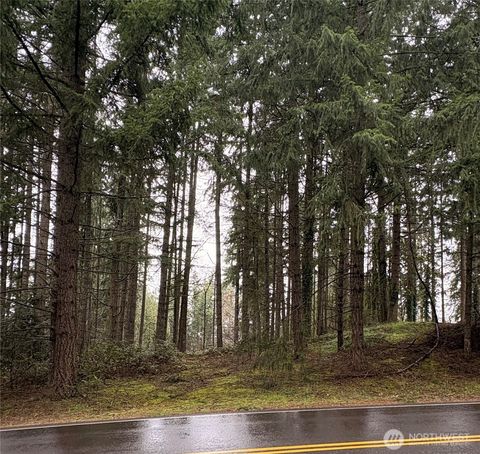Photo of 22020 Clearlake Boulevard SE, Yelm, WA 98597 (MLS # 2489948)
