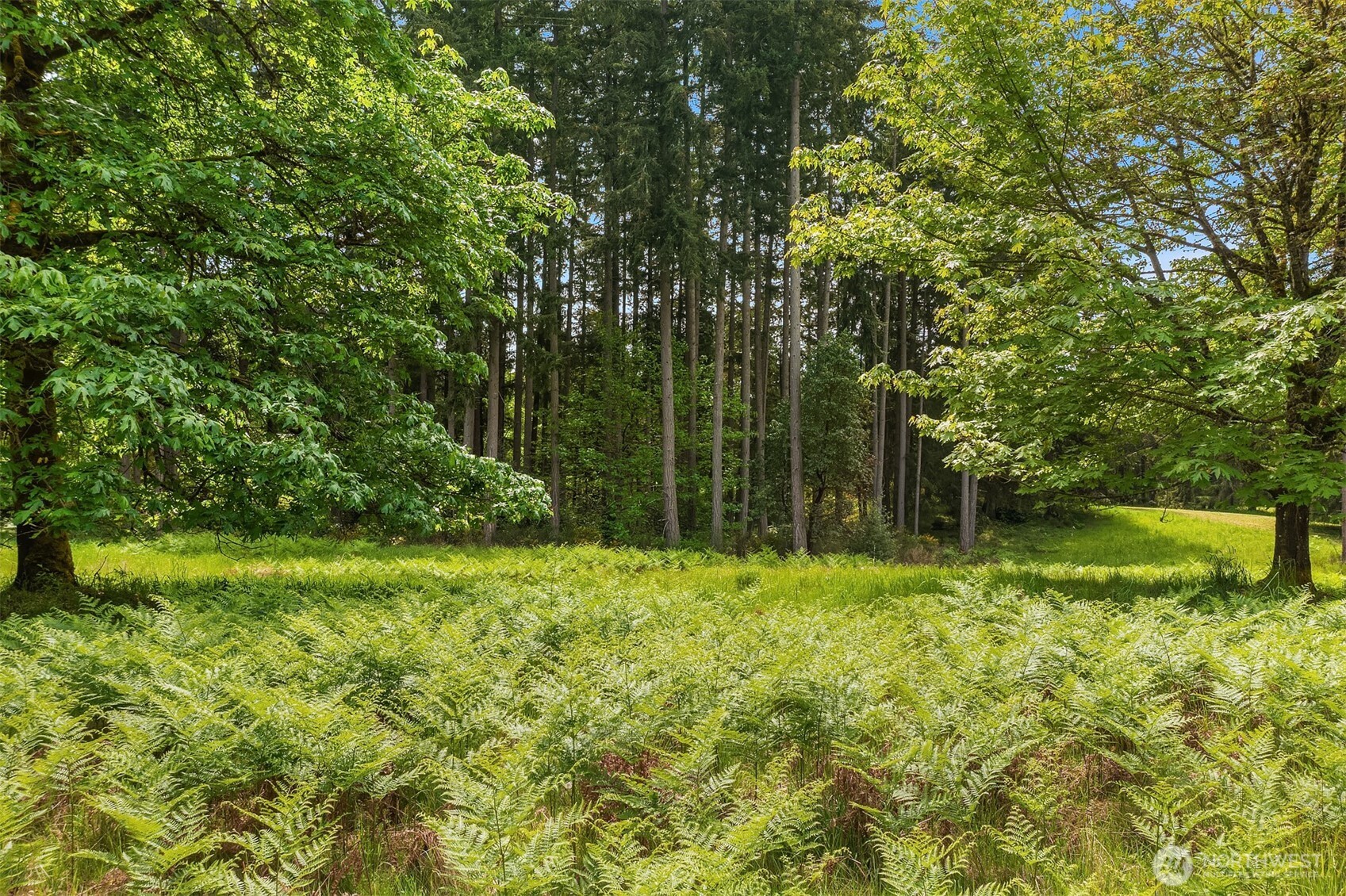 11920 SW 232nd Street